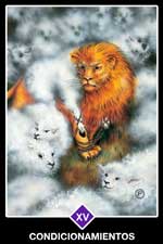15 - Condicionamientos - Arcanos Mayores del Tarot Osho Zen