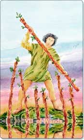 7 de bastos en posición vertical - Tarot10