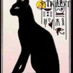 Hechizo de Protección de Bastet - Rituales y Hechizos - Tarot10