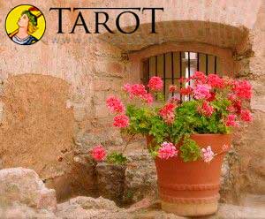El Ritual de la Maceta - Tarot10