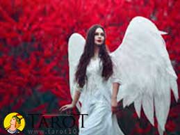 El ángel del Amor - Tarot10