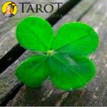 Hechizo Hindú para la buena suerte - Rituales y hechizos - Tarot10