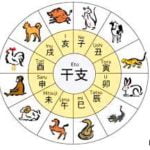 Horoscopo Chino - El Dragón - Tarot10