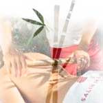 Hechizo con el bambú para arrojar la envidia en casa - Tarot10