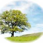 Las cuatro estaciones en nuestras vidas - Tarot10