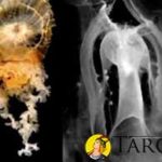 Los cristales conectados a reinos angelicales y espirituales - Tarot10