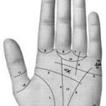 Quiromancia - Tarot10