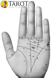 Quiromancia - Tarot10