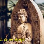 la vida es un espejo