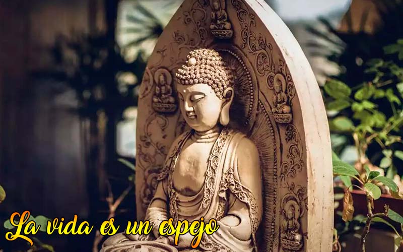 la vida es un espejo