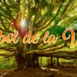 la simbología del árbol de la vida