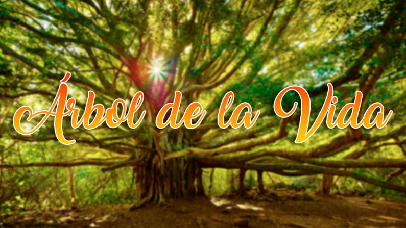 la simbología del árbol de la vida